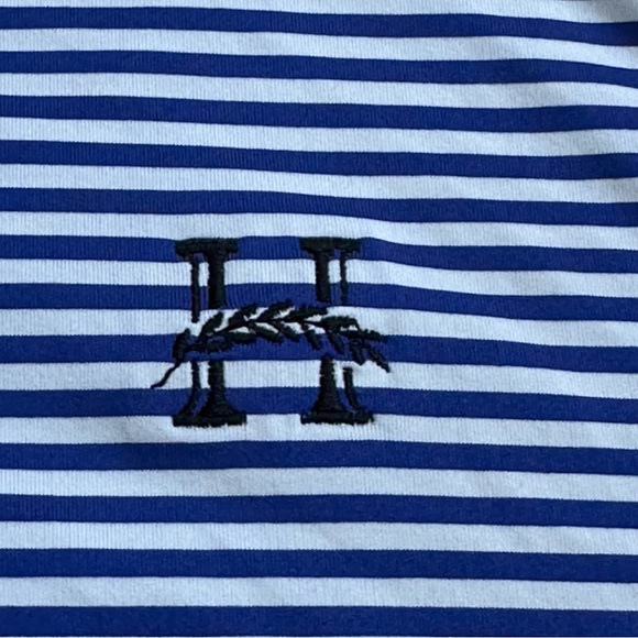 Footjoy Golf Polo Men’s Medium Striped Unknown Logo - Picture 4 of 8